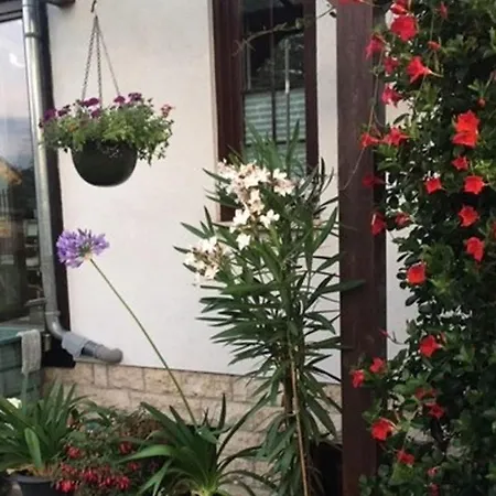 דירה Am Park וויימר